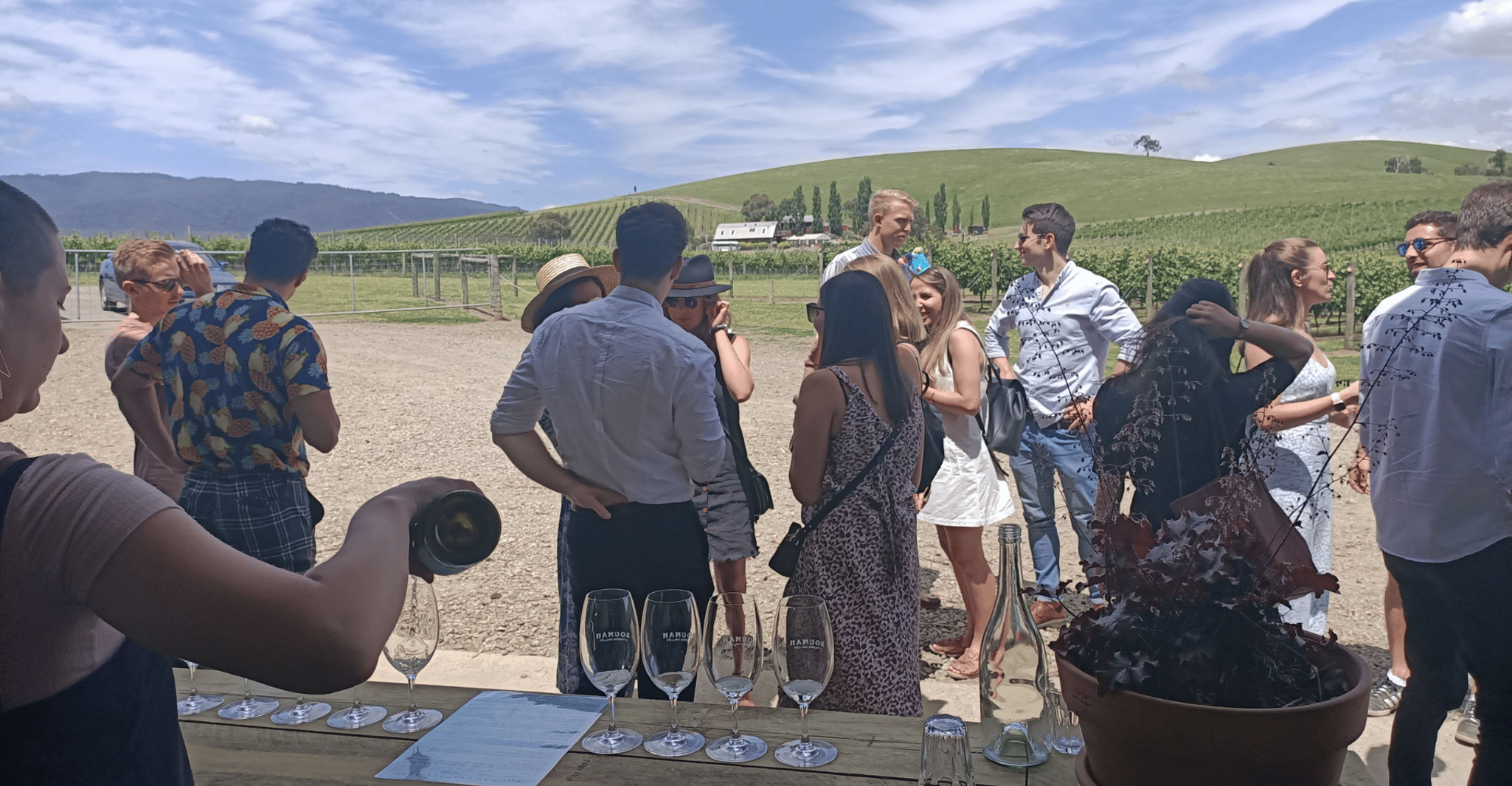 Melbourne: Yarra Valley Wine, Gin, Whisky and Chocolate Tour photo 7