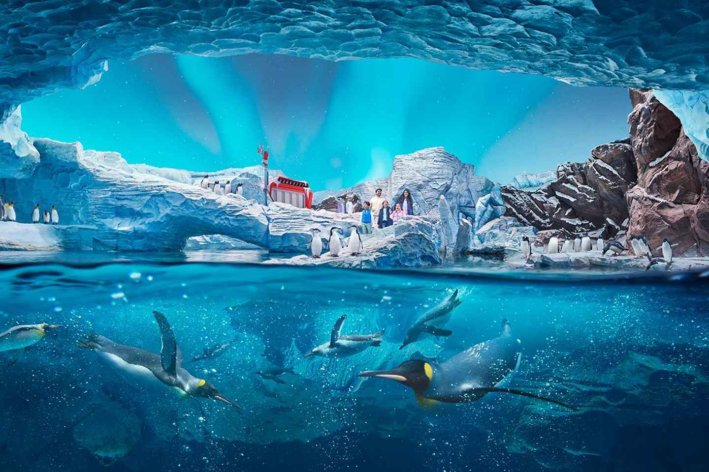 SeaWorld Abu Dhabi General Admission & Optional Add-Ons - SeaWorld General Admission Entrance