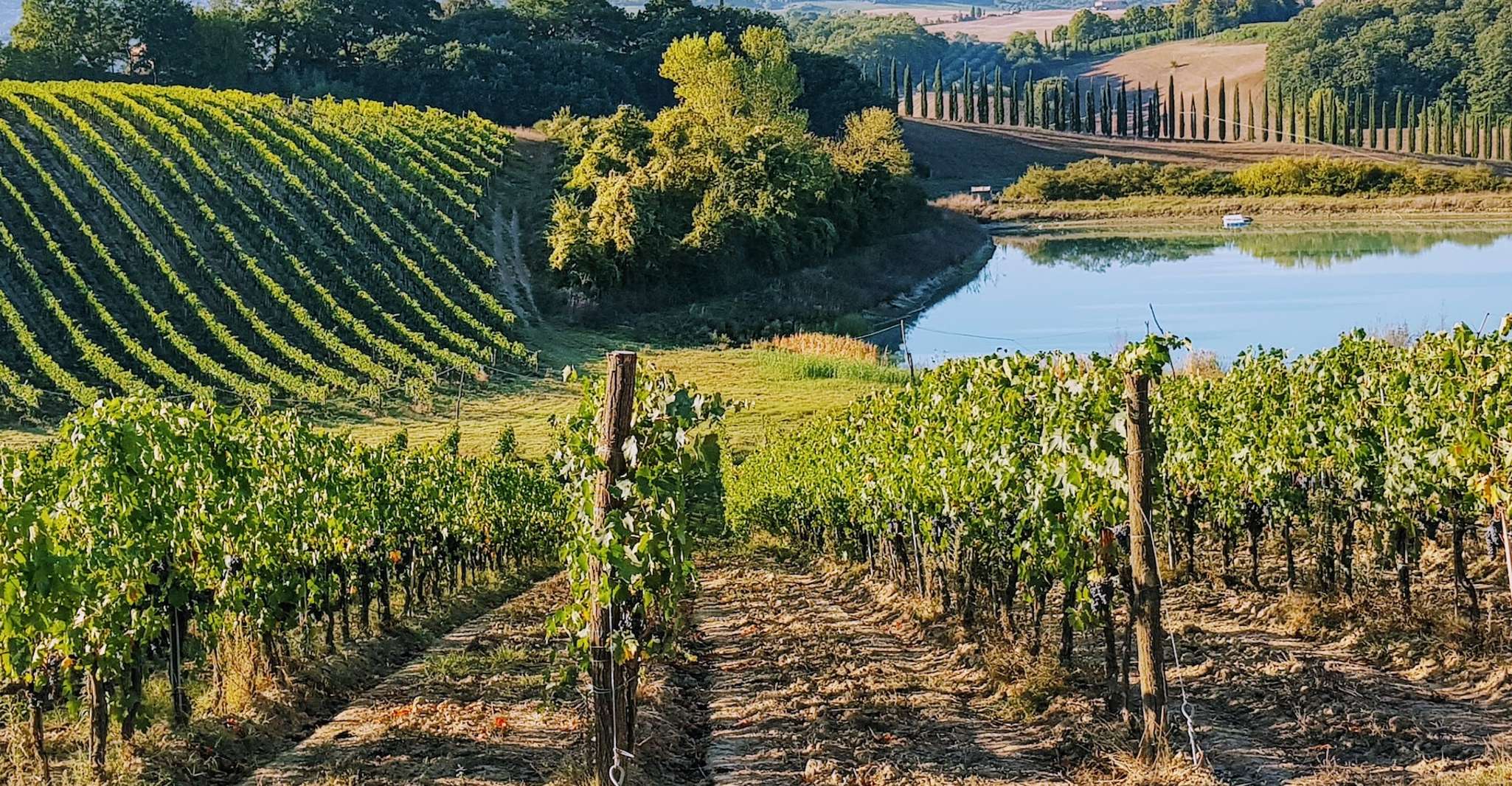 From Florence: Chianti Wine Tastings at Sunset Day Trip photo 1