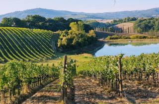 Von Florenz aus: Chianti Weinproben bei Sonnenuntergang Tagestour