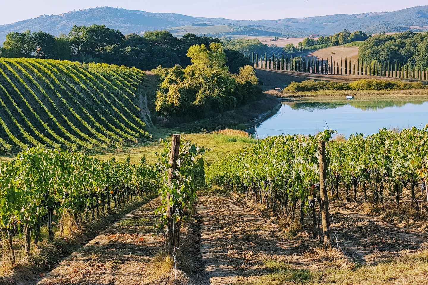 Da Firenze: Degustazioni di Vino Chianti al Tramonto