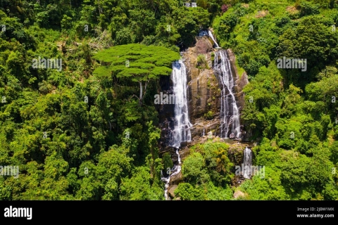 Kandy au lac Sembuwatta et à la chute d'eau Hunasfalls en Tuk TukLac Sembuwatta en Tuk Tuk {Conducteur - Danushka}