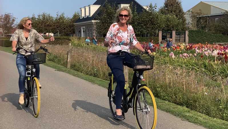Bulb region: Summer Flowers and Mills Bicycle Tour