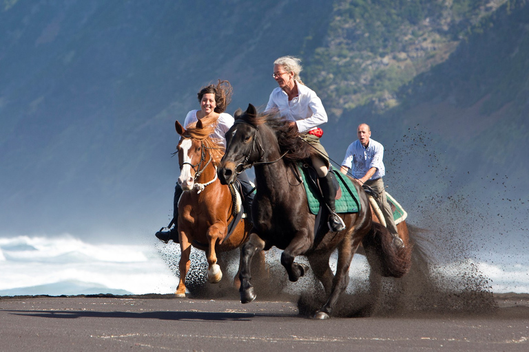 Île de Faial : Randonnée à cheval (3 heures - cavaliers expérimentés)