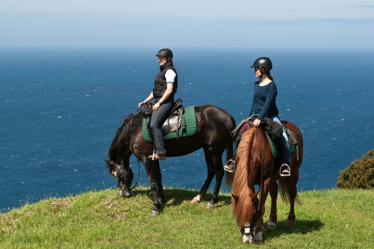 Île de Faial : Randonnée à cheval (3 heures - cavaliers expérimentés)