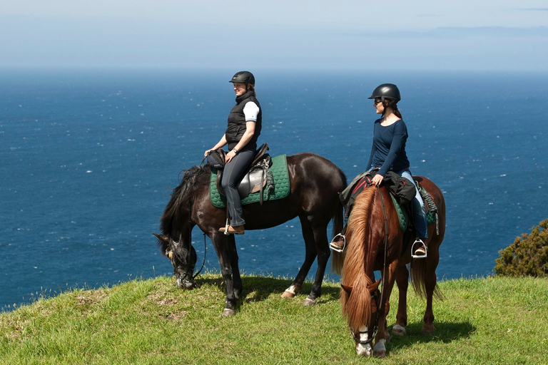 Île de Faial : Randonnée à cheval (3 heures - cavaliers expérimentés)