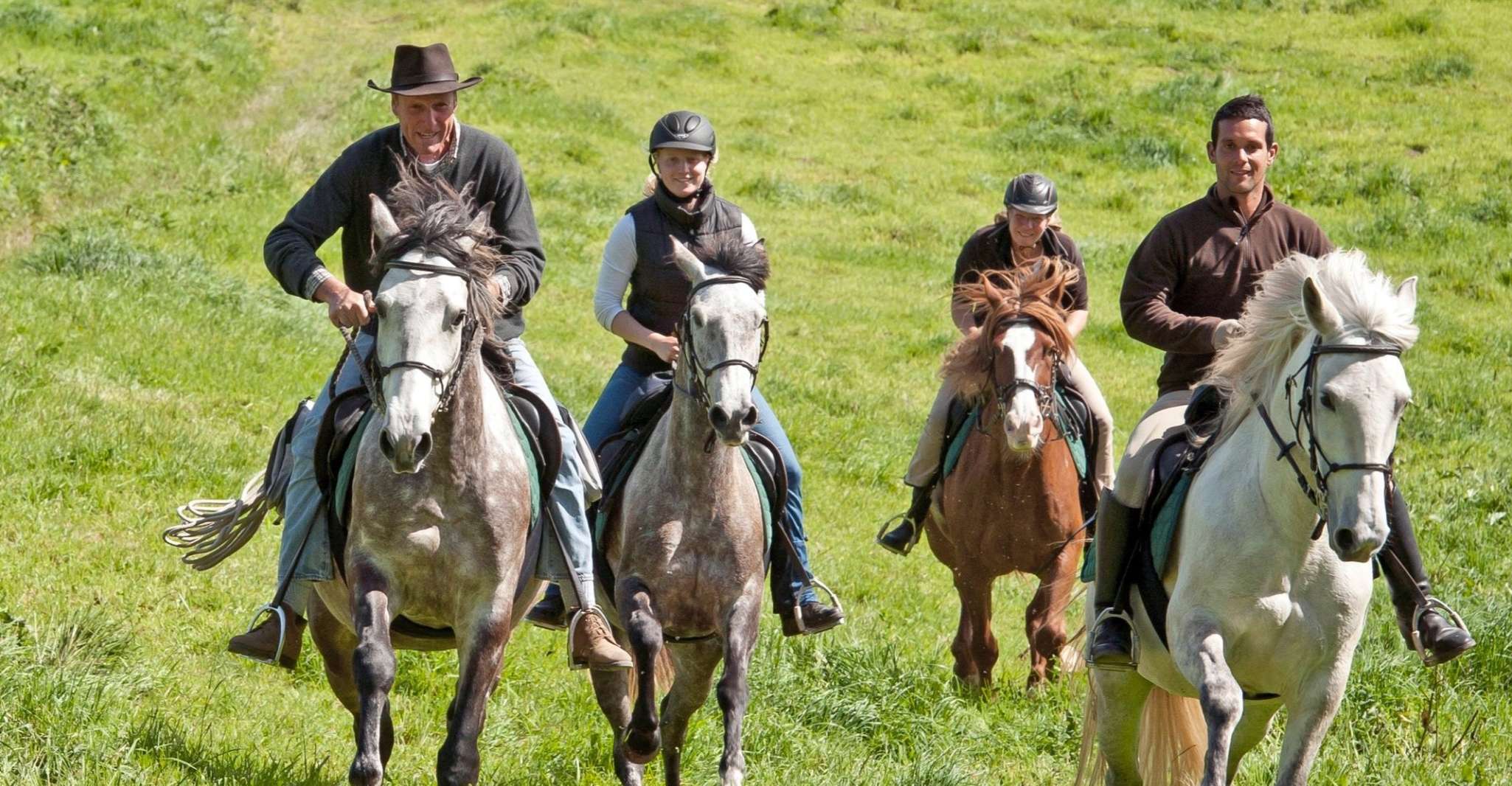 Faial Island, Horseback Riding (3 hrs - Experienced Riders) - Housity