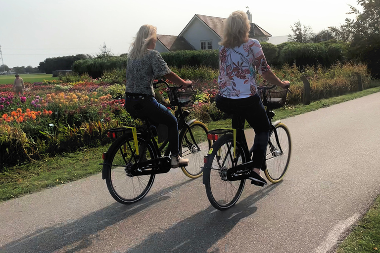 Bollenstreek: Dahlia&#039;s Fietstocht