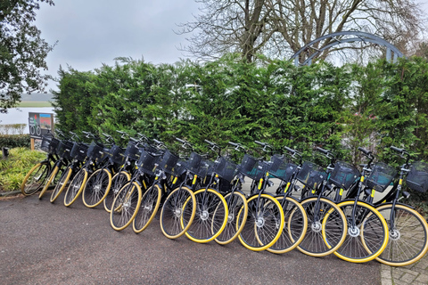 Zwiebelregion: Dahlien-Fahrradtour