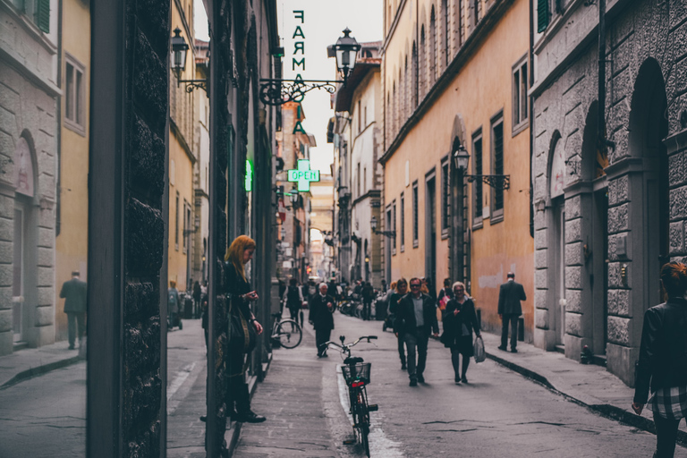 Florence: 2.5 hour Audio Guided Walking Tour led by Pro Host Florence: Audio Guided Walking Tour led by Tour Leader