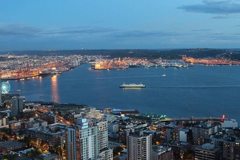 From Seattle: 5-hour Seattle and Suburbs Attractions Tour
