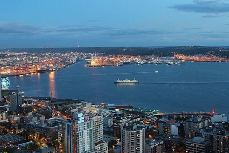 From Seattle: 5-hour Seattle and Suburbs Attractions Tour