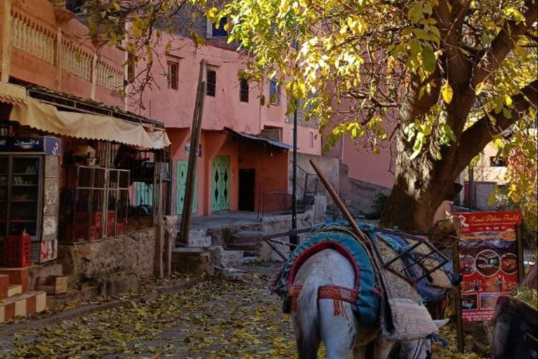 Dagsutflykt: Kamelridning och vandring i Atlasbergen med lunchFrån Marrakech: Kamelridning i Atlasbergen med lunch