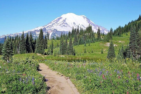 From Seattle: Full-Day Mt Rainier National Park Tour Non-Private Tour