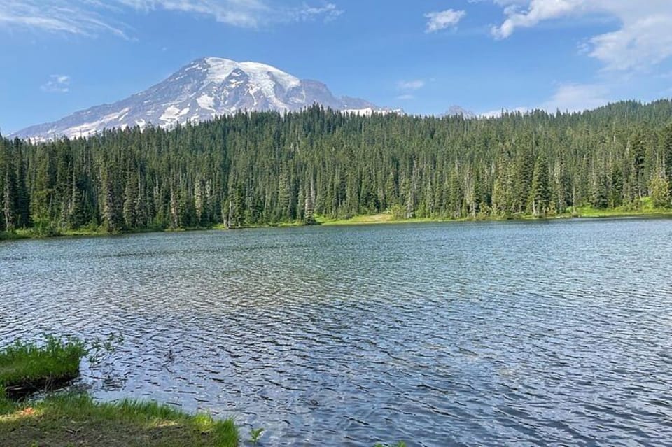 De Seattle, visite privée du parc national Mt Rainier - Hizvo