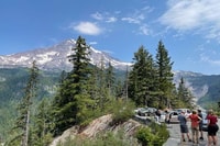 De Seattle, visite privée du parc national Mt Rainier - Hizvo