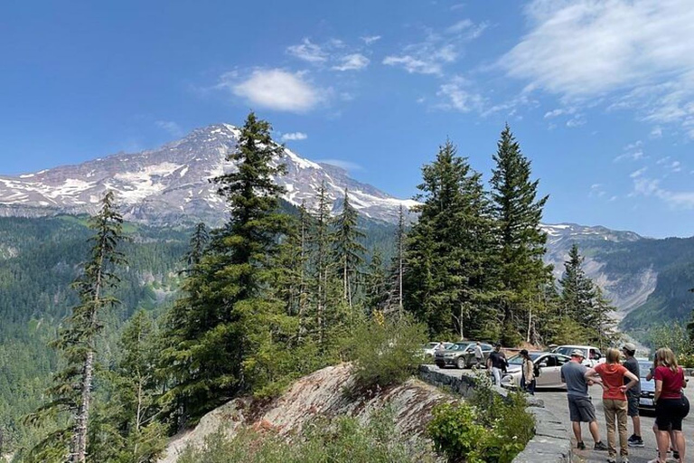 From Seattle: Full-Day Mt Rainier National Park Tour Non-Private Tour
