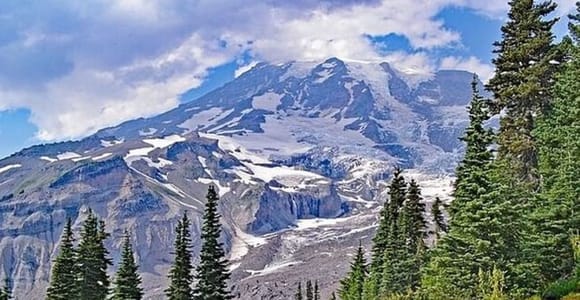 Von Seattle aus: Ganztagestour zum Mt. Rainier National Park