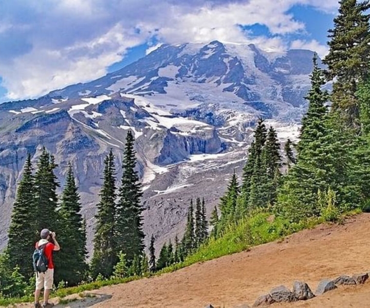 From Seattle:Full-Day Mt Rainier National Park Private Tour