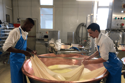 Foodtour durch Reggio: Parmigiano, Balsamico, Wurstwaren und WeineLambrusco &amp; lokale Weine