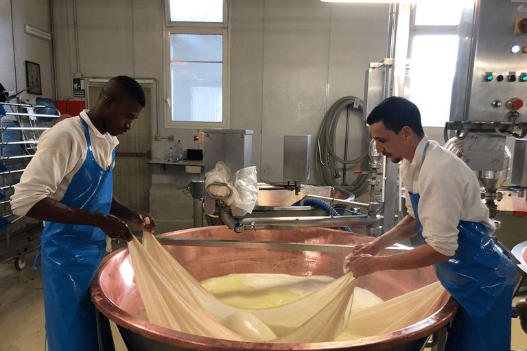 Foodtour durch Reggio: Parmigiano, Balsamico, Wurstwaren und WeineLambrusco &amp; lokale Weine