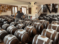Emilia Flavors, Parmigiano, vinaigre balsamique - Visite alimentaire - Housity