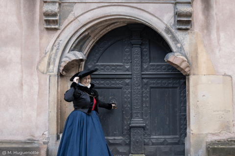 Reis door de Rijnlandse Renaissance in Straatsburg