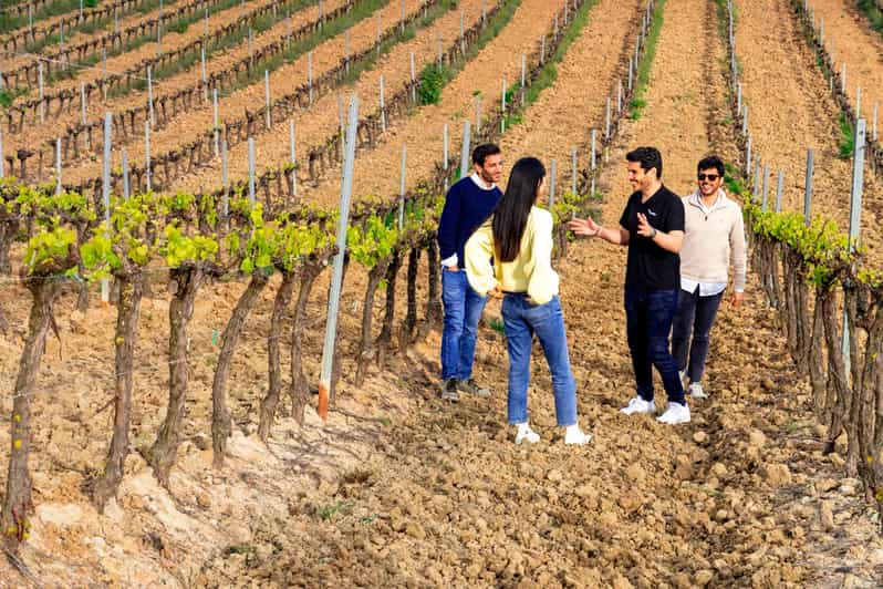 Lisbon Winery Experience with 4WD Tour and Wine Tasting GetYourGuide