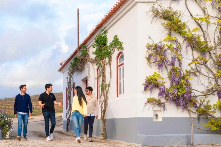 Van Lissabon: dagtocht naar een wijnkelder en wijngaard
