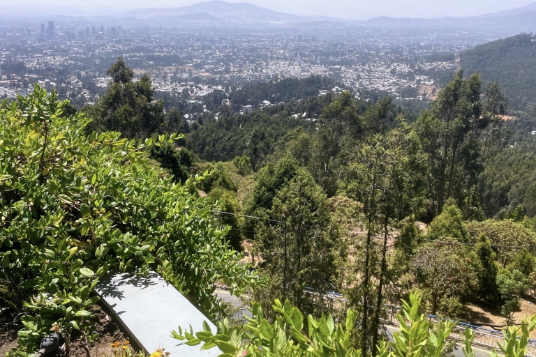 Visite d'une journée à Addis-Abeba - une ville grandiose et variéeAddis-Abeba - une ville grande et variée