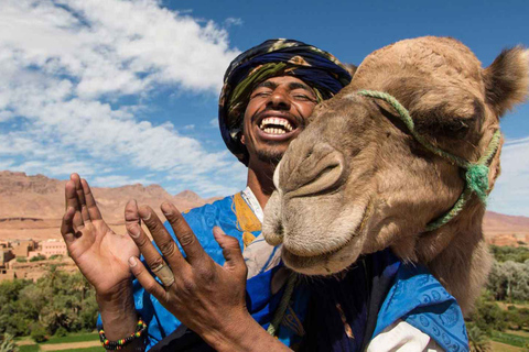 Marrakesz Góry Atlas, wioski berberyjskie i wycieczka po wodospadach