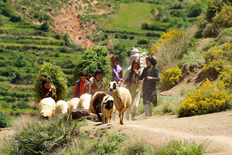 Tour delle montagne dell&#039;Atlante di Marrakech, dei villaggi berberi e delle cascate