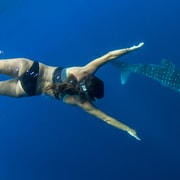 Puerto Princesa: Swim with Whale Sharks Boat Cruise