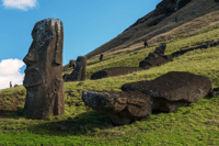 2 Half Days & 2 Full Days Private Tours | OPTION B - Housity