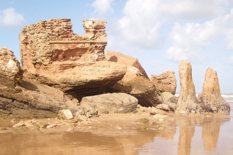 Von Agadir oder Taghazout aus: Geführter Tagesausflug nach Essaouira