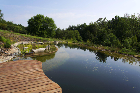 Agadir : Excursion dans les montagnes de l'Atlas et baignade dans la vallée du ParadisAgadir : Voyage dans les montagnes de l'Atlas avec baignade dans le lac de la vallée du Paradis