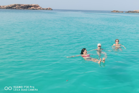 Excursions de plongée avec masque et tuba dans les îles Daymaniyat