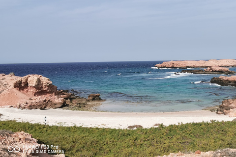 Excursions de plongée avec masque et tuba dans les îles Daymaniyat