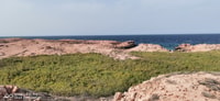 Tours de plongée vers les îles Daymaniyat - Hizvo