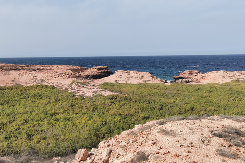 Excursions de plongée avec masque et tuba dans les îles Daymaniyat