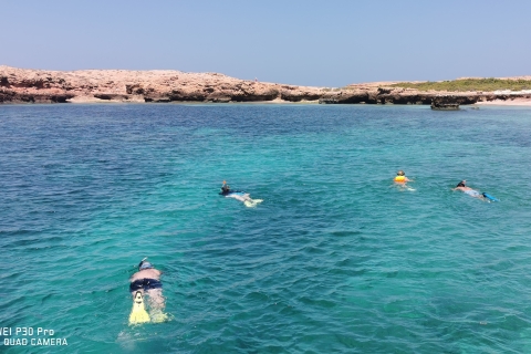 Excursions de plongée avec masque et tuba dans les îles Daymaniyat