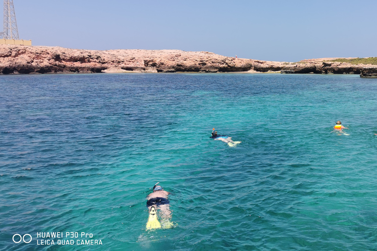 Excursions de plongée avec masque et tuba dans les îles Daymaniyat