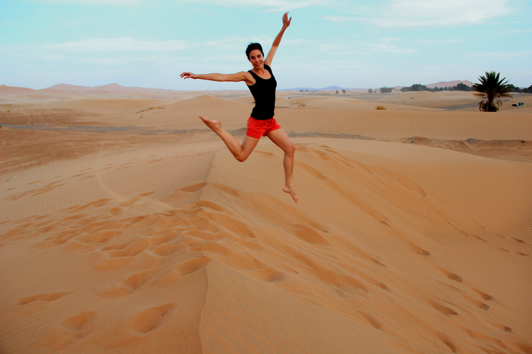 Agadir ou Taghazout : Dunes de sable du Sahara avec transfert