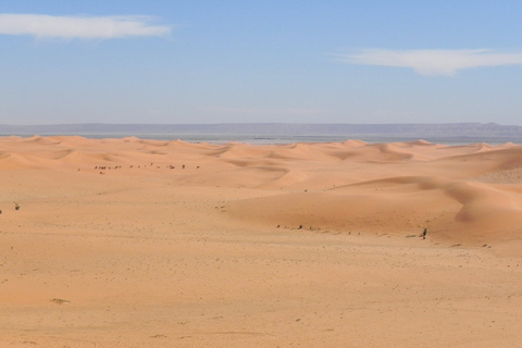 Agadir ou Taghazout : Dunes de sable du Sahara avec transfert