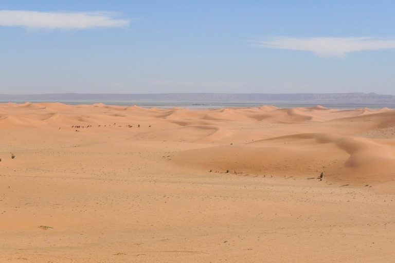 Agadir ou Taghazout : Dunes de sable du Sahara avec transfert