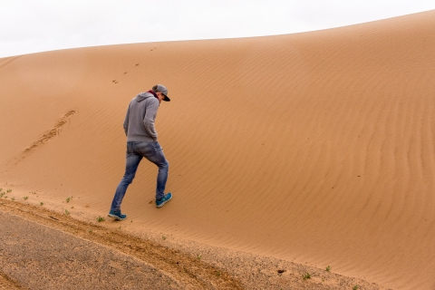 Agadir ou Taghazout : Dunes de sable du Sahara avec transfert