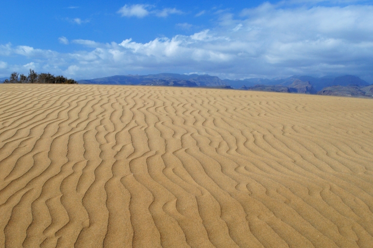 Agadir ou Taghazout : Dunes de sable du Sahara avec transfert