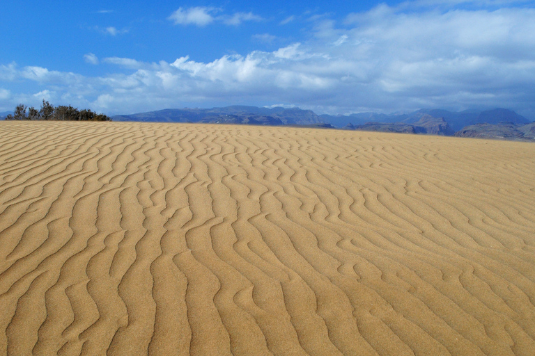 Agadir lub Taghazout: wydmy pustyni Sahara z transferem