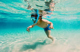 Fort Walton Beach: Morgendliche Delfin-Kreuzfahrt mit Schnorchelstopp