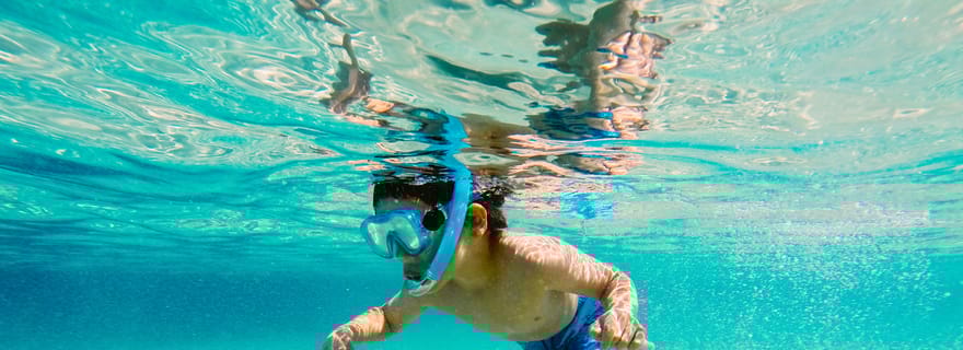 Fort Walton Beach : Croisière matinale pour les dauphins avec arrêt pour la plongée en apnée